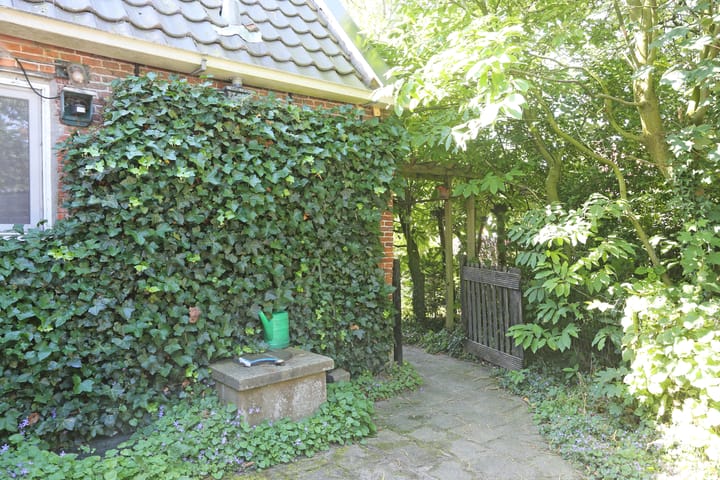 Foto 64 van Foarwei 6