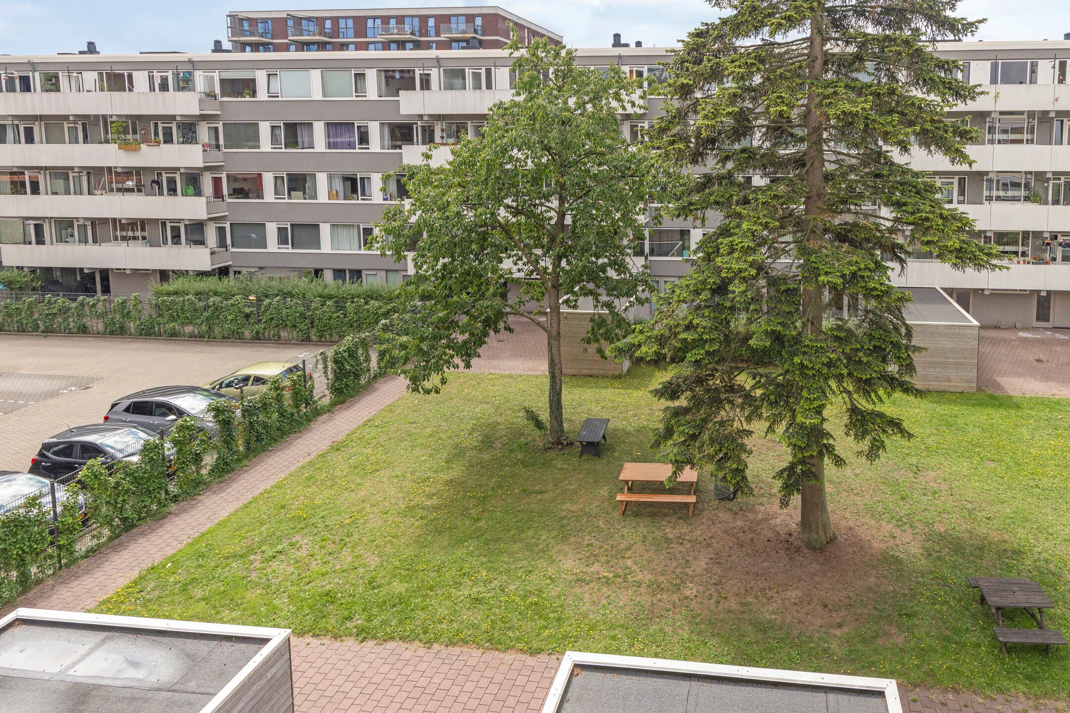 Foto 12 van Trumanlaan 533