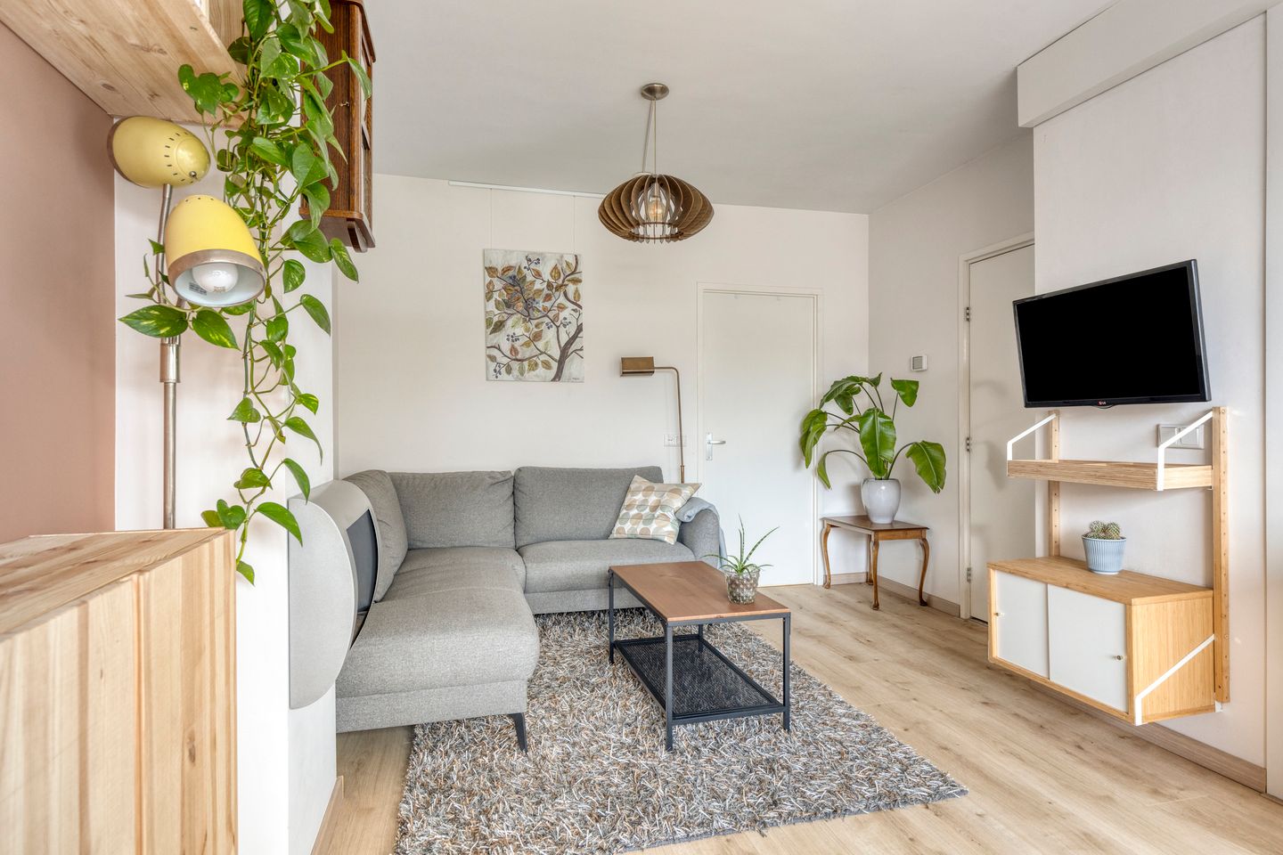 Foto 19 van Trumanlaan 533