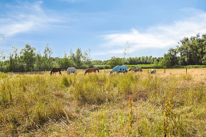 Foto 69 van Sint Janstraat 8-B