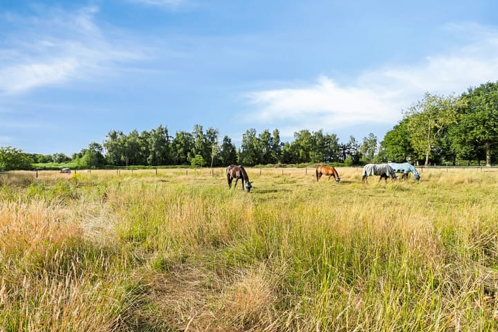 Foto 70 van Sint Janstraat 8-B