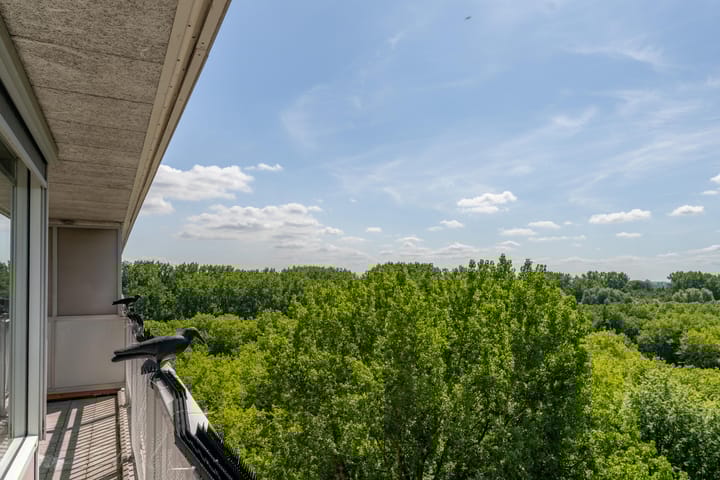 Foto 16 van Weerdestein 166