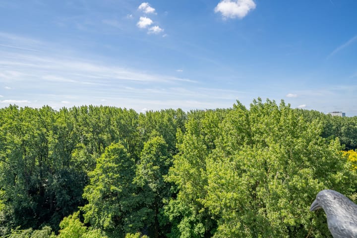 Foto 15 van Weerdestein 166