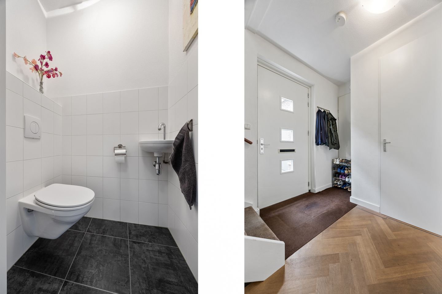 Foto 10 van Zilveresdoorn 19