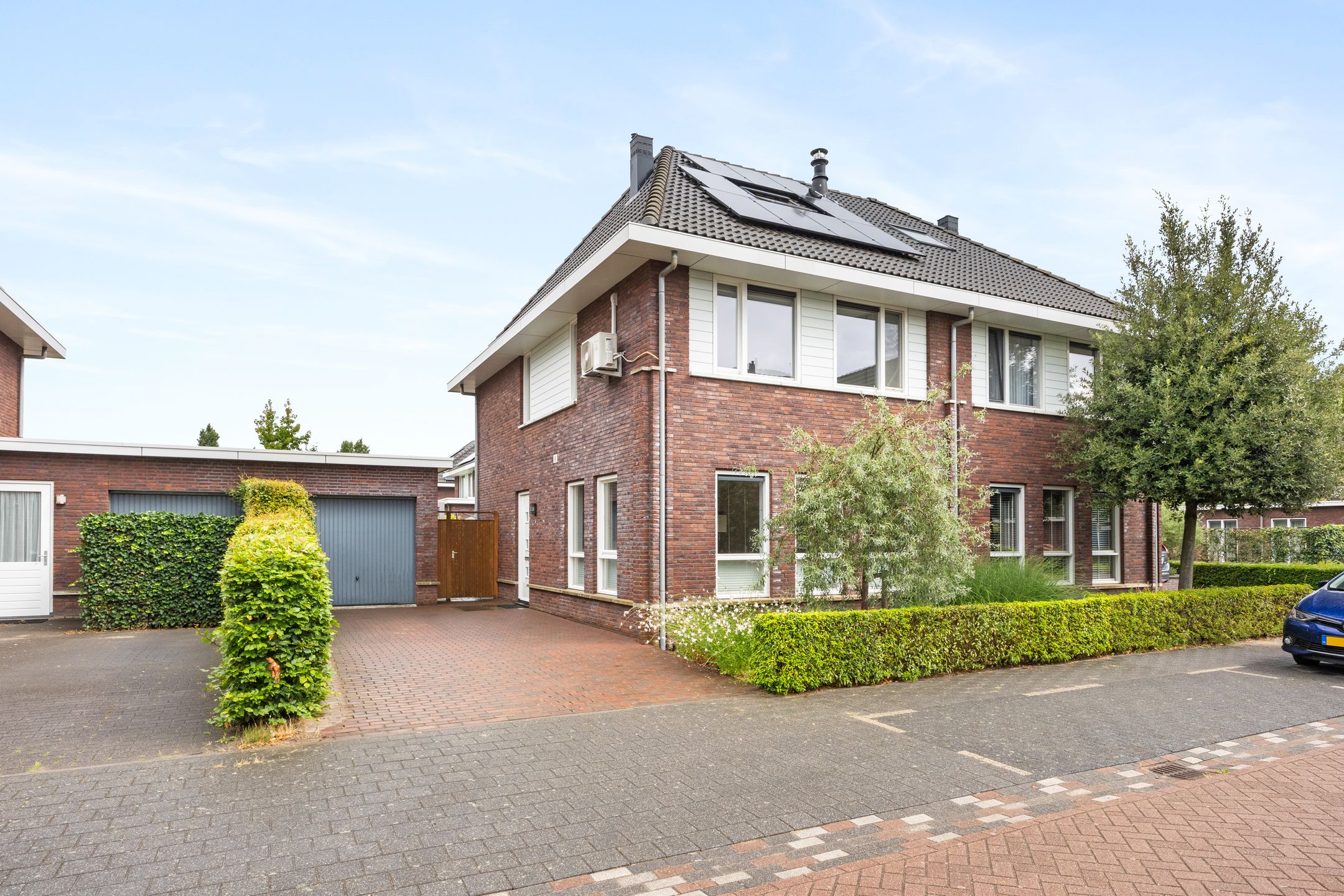 Foto 27 van Zilveresdoorn 19