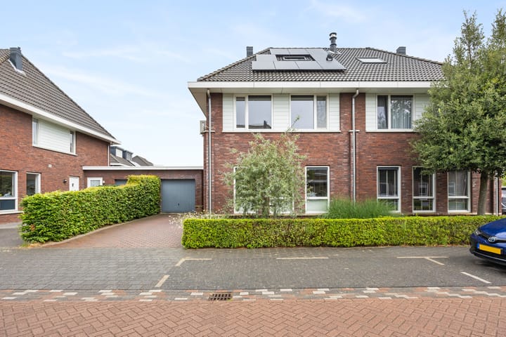 Foto 1 van Zilveresdoorn 19