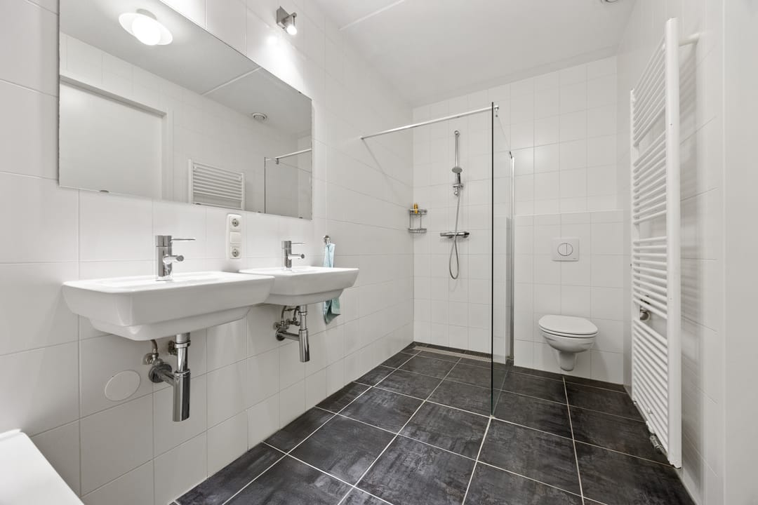 Foto 16 van Zilveresdoorn 19