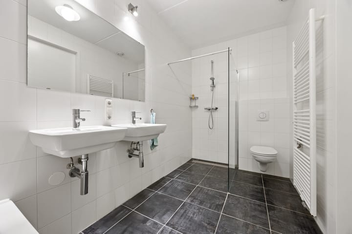 Foto 16 van Zilveresdoorn 19