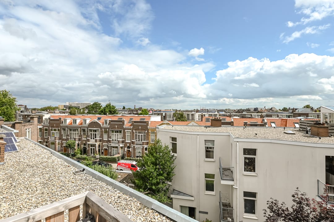 Foto 47 van Van Boetzelaerlaan 219-B