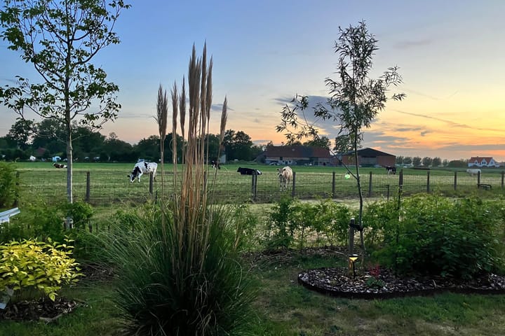 Foto 2 van Zuiderbruggeweg 13