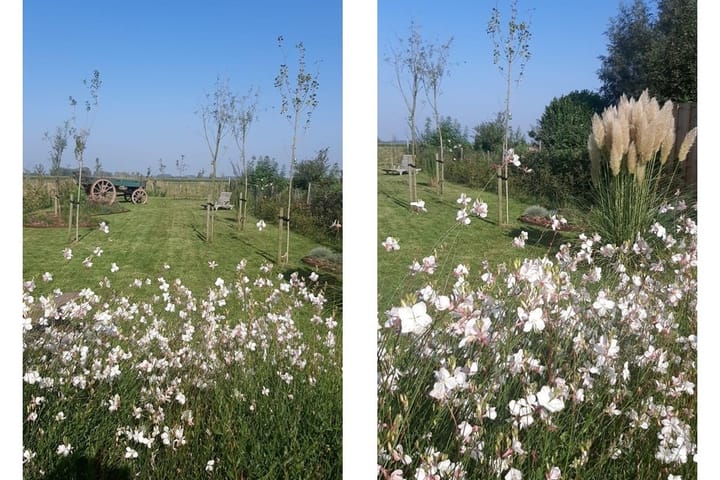 Foto 23 van Zuiderbruggeweg 13