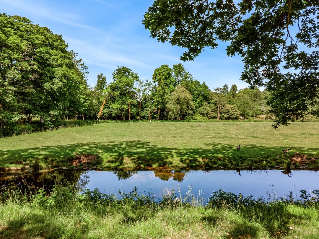 Foto 2 van Wassenaarseweg 299