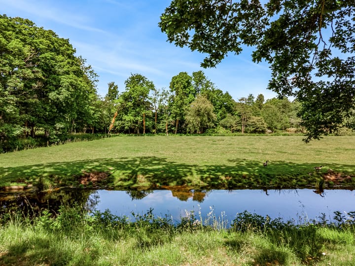 Foto 2 van Wassenaarseweg 299