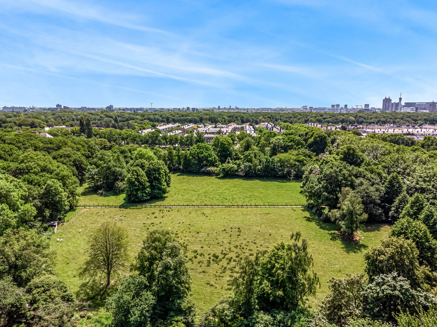 Foto 4 van Wassenaarseweg 299