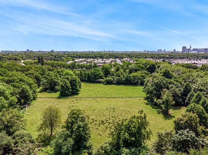 Foto 4 van Wassenaarseweg 299