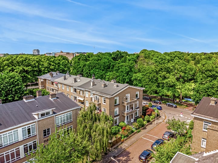 Foto 57 van Wassenaarseweg 299