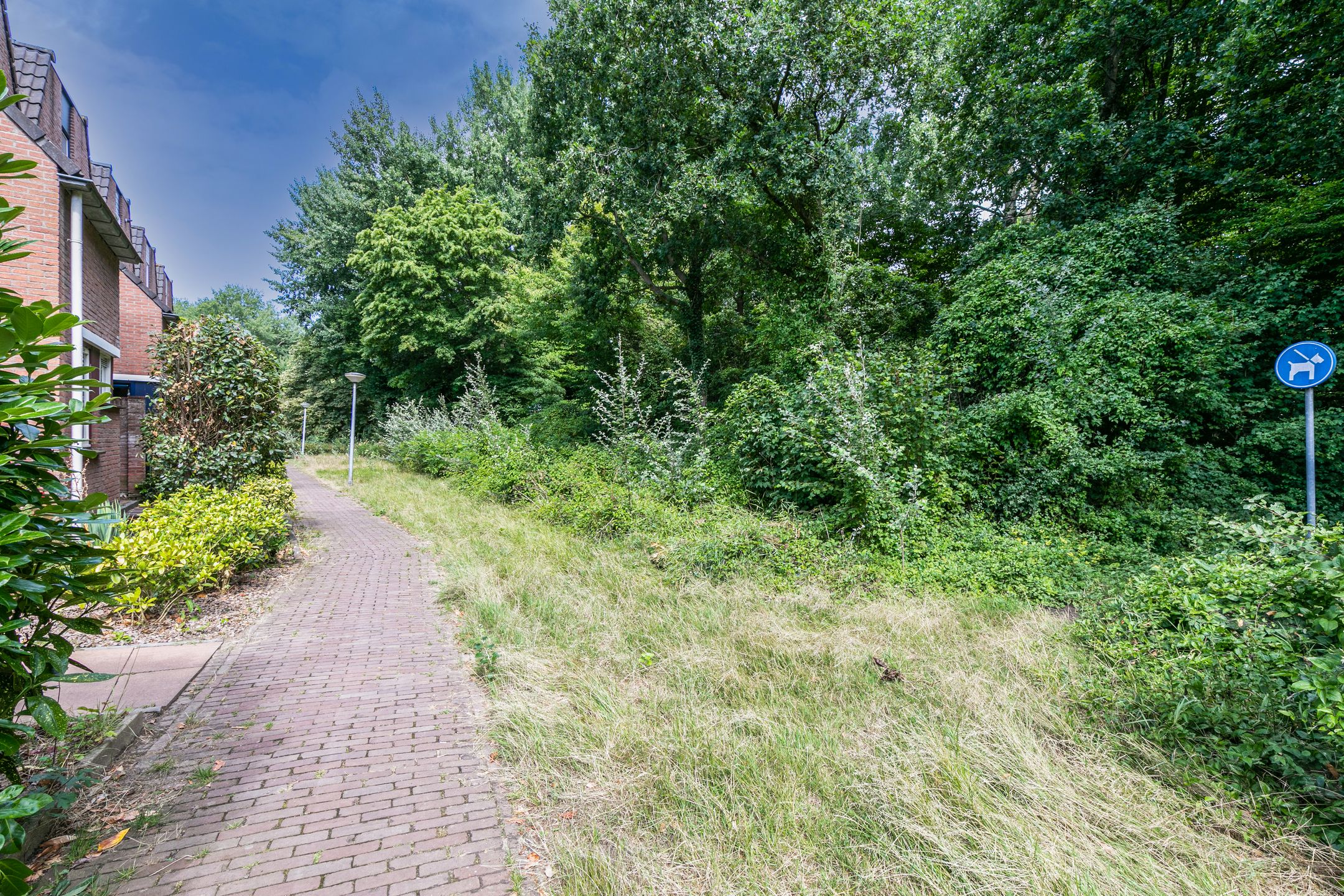 Photo 42 of Groenhof 66