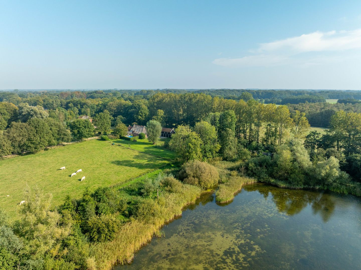 Foto 5 van Lutsborgsweg 73