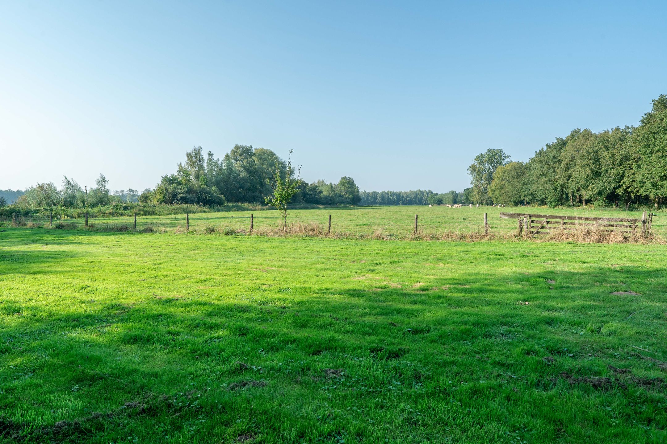 Foto 39 van Lutsborgsweg 73