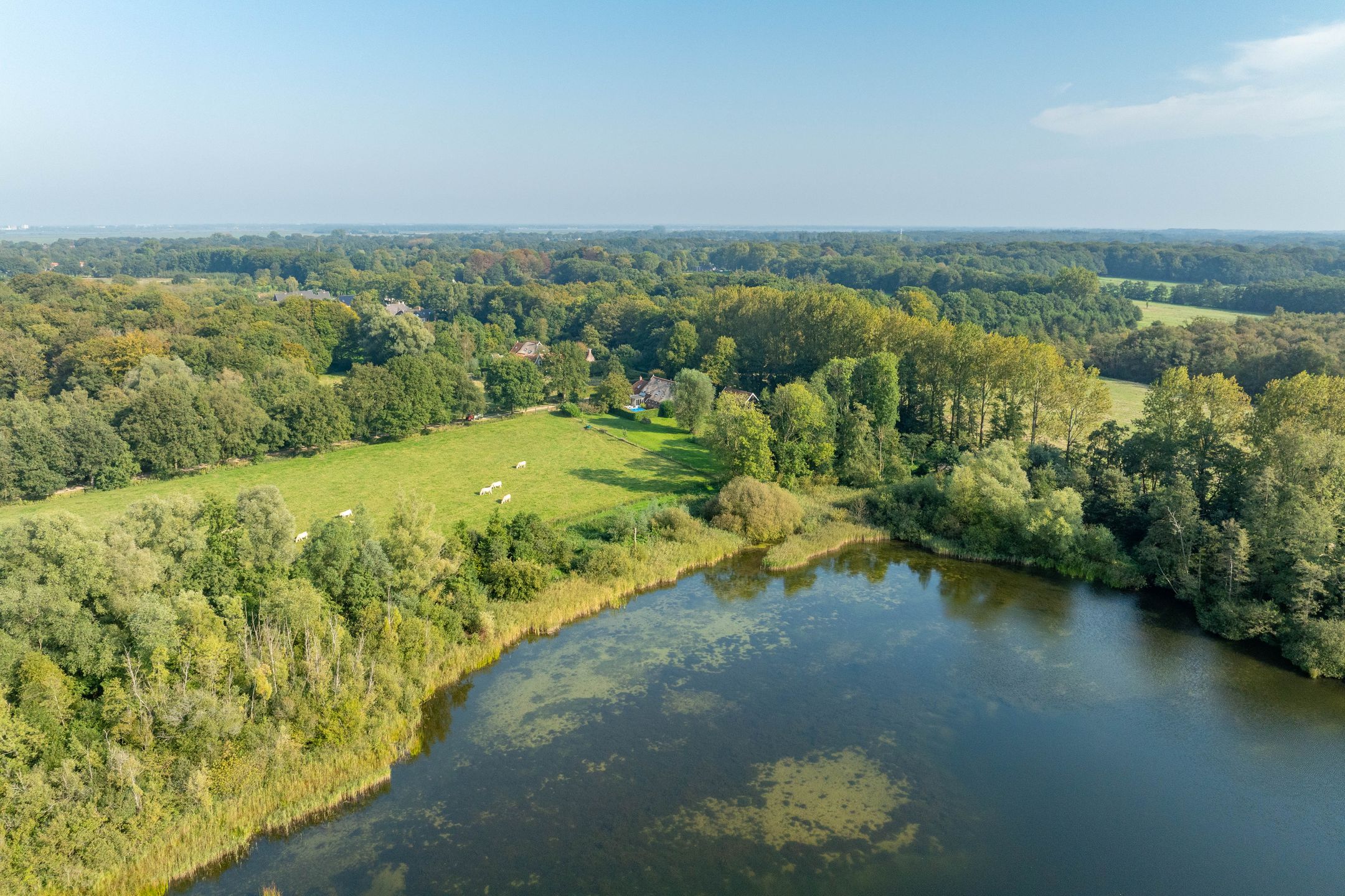 Foto 42 van Lutsborgsweg 73