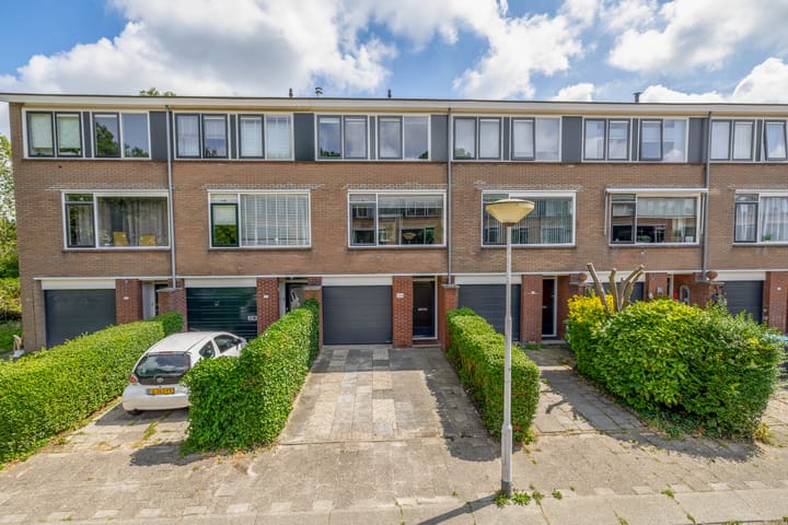 Foto 1 van Brigantijn 100