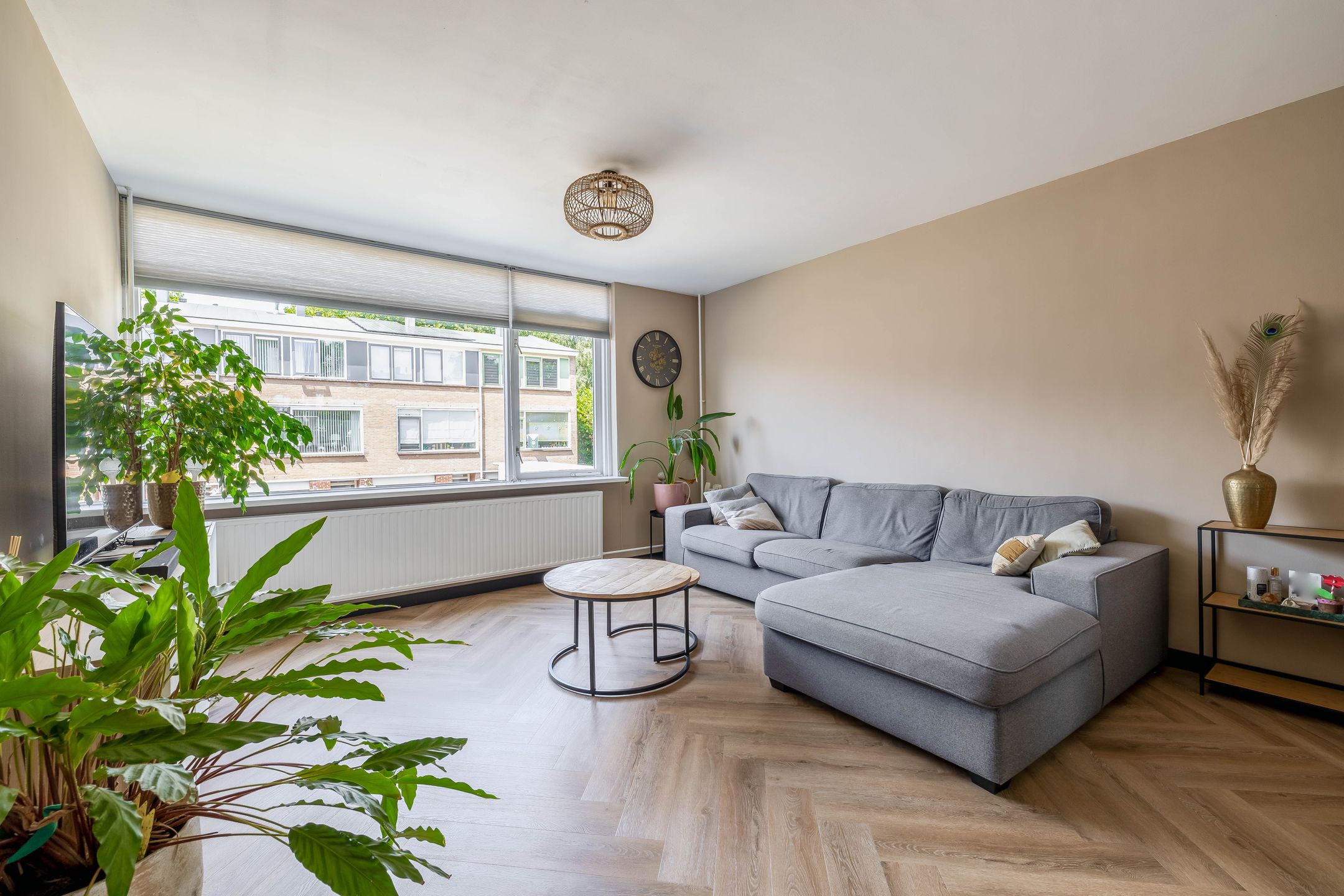 Foto 15 van Brigantijn 100