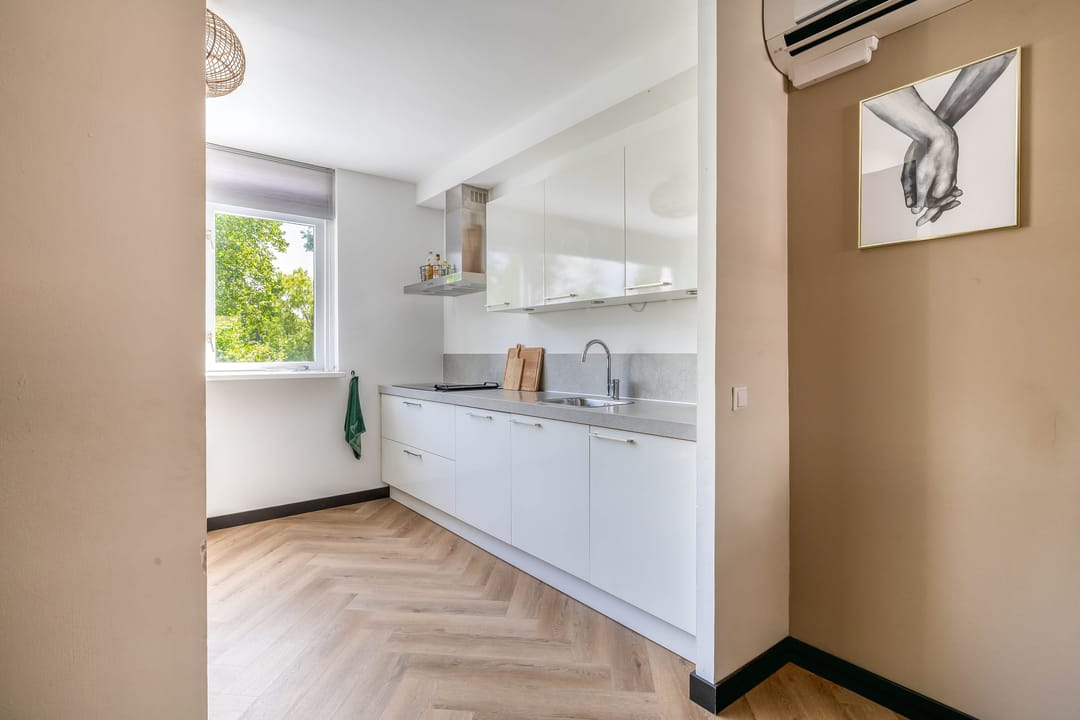 Foto 17 van Brigantijn 100