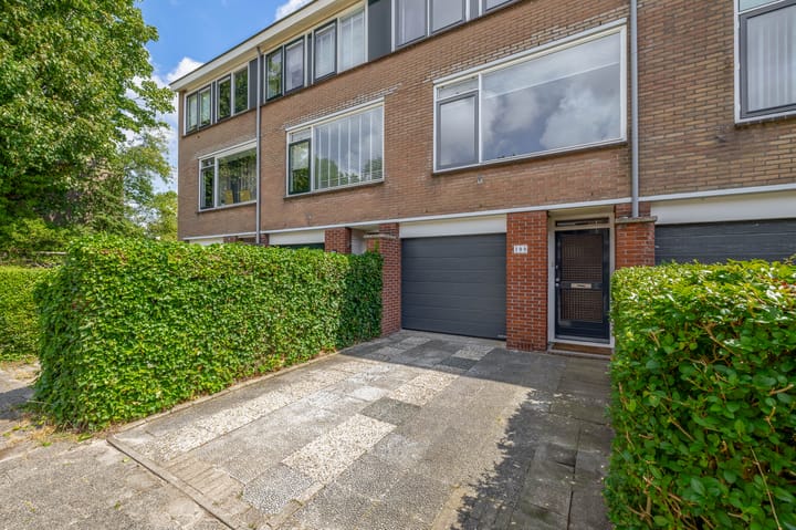 Foto 43 van Brigantijn 100