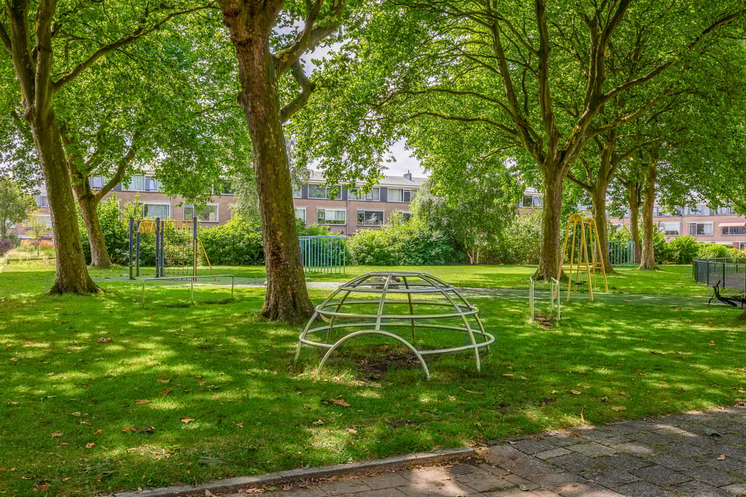 Foto 47 van Brigantijn 100