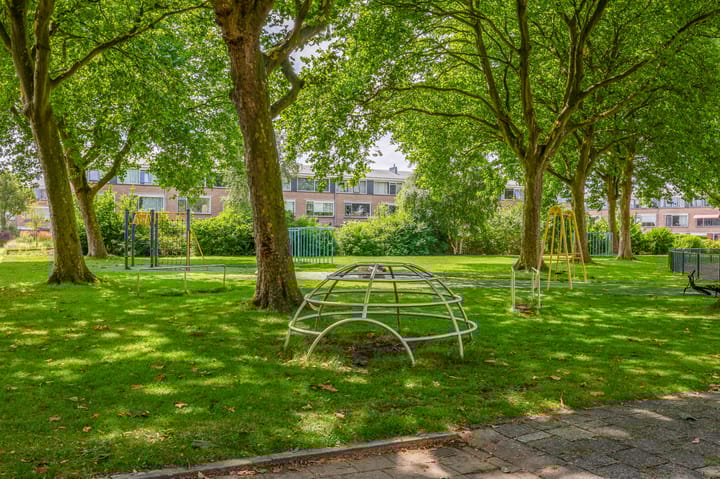 Foto 47 van Brigantijn 100