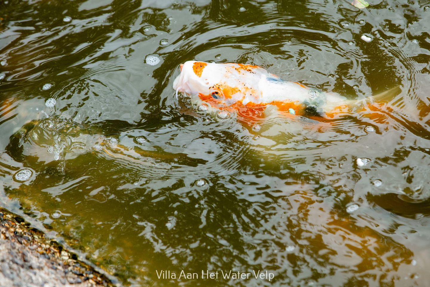 Photo 20 of Heistraat 6