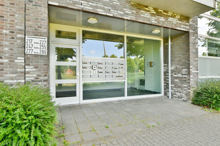 Foto 5 van Vivaldisingel 229