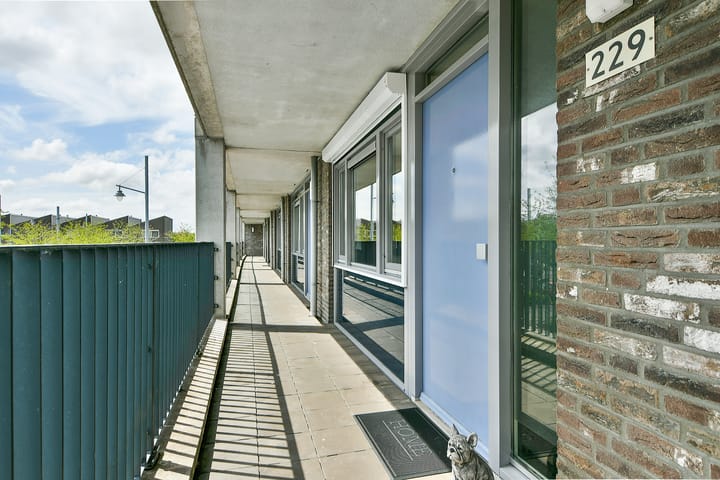 Foto 8 van Vivaldisingel 229