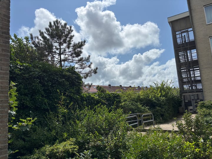 Foto 23 van Zeeweg 21