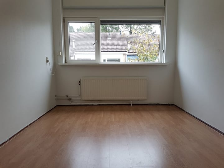 Foto 5 van Zwemmer 15