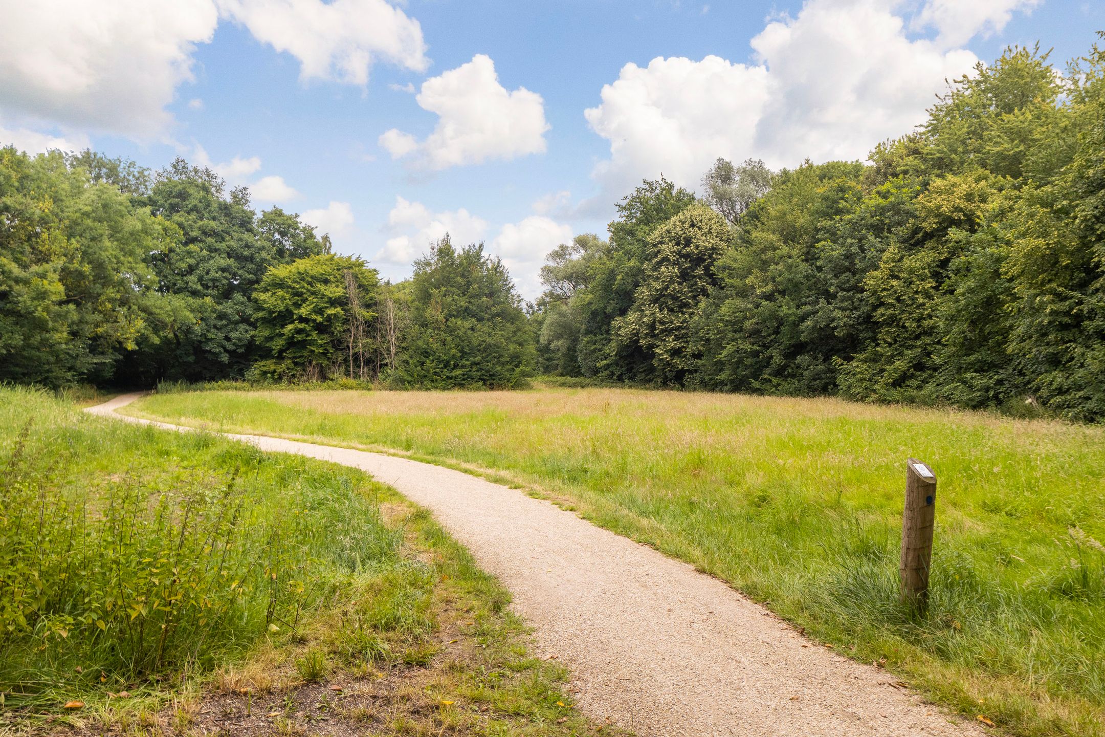 Foto 39 van de Jongstraat 6-15