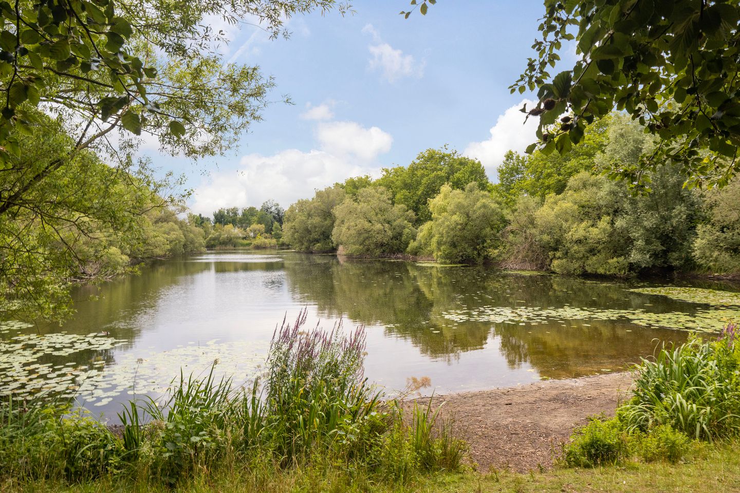 Foto 40 van de Jongstraat 6-15