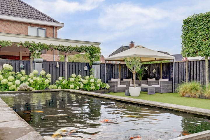 Photo 22 of Klaproos 5