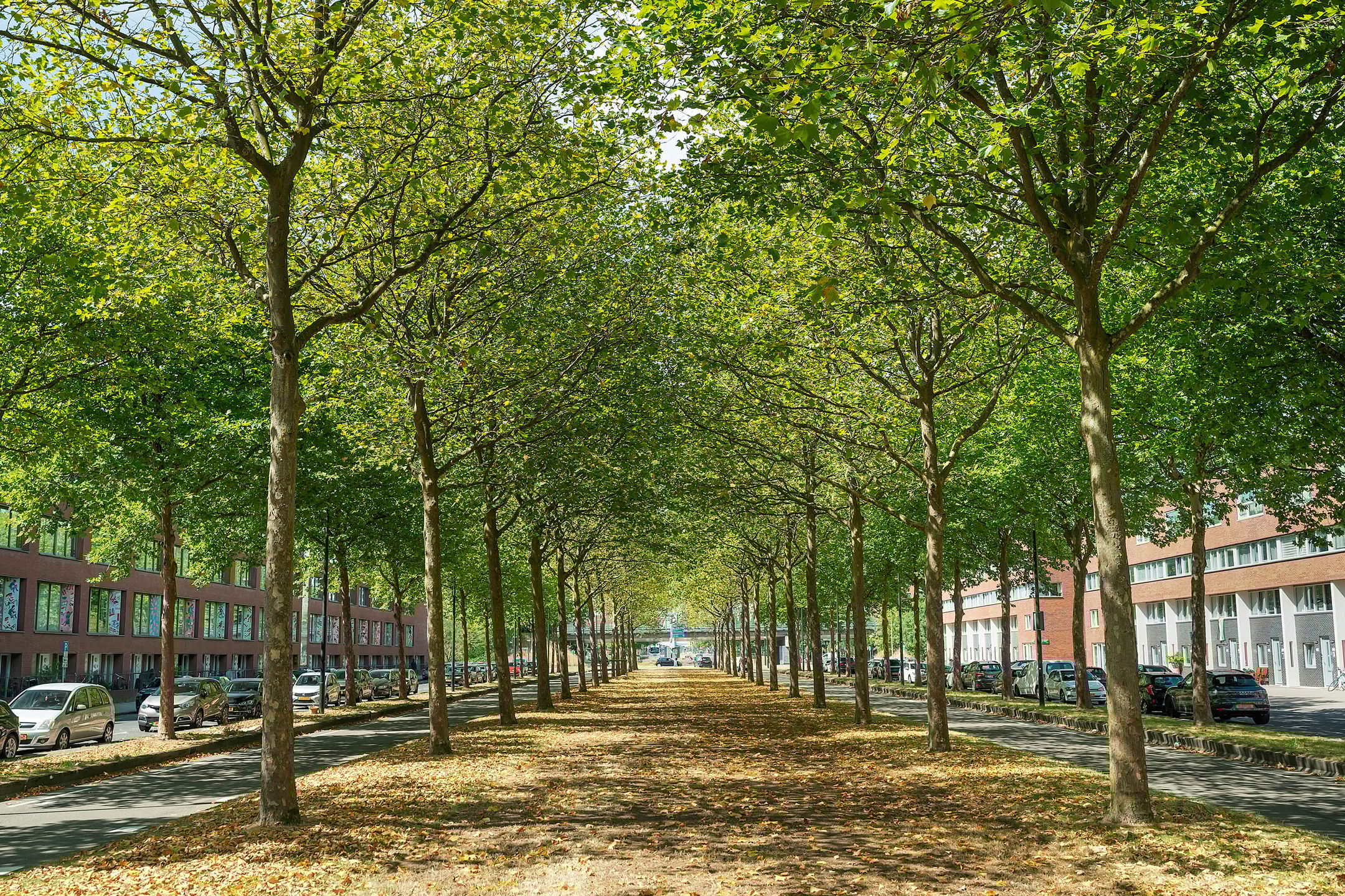 Foto 12 van Bijlmerdreef 830