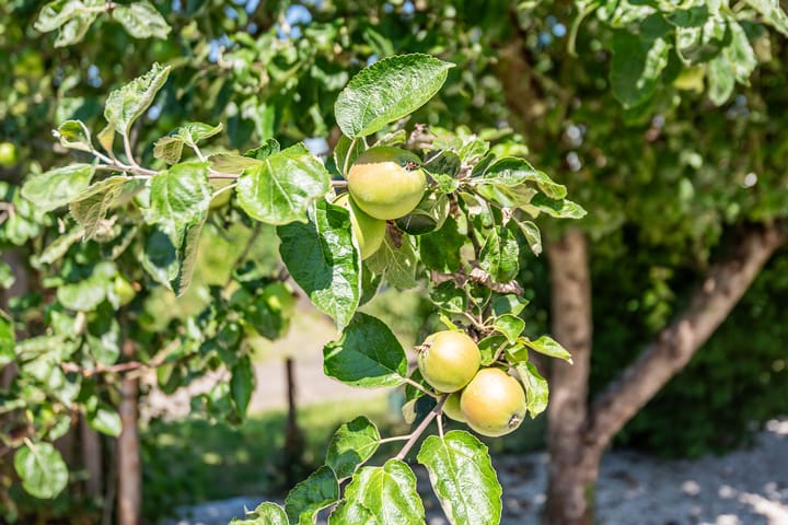 Foto 40 van Vijverpad 14