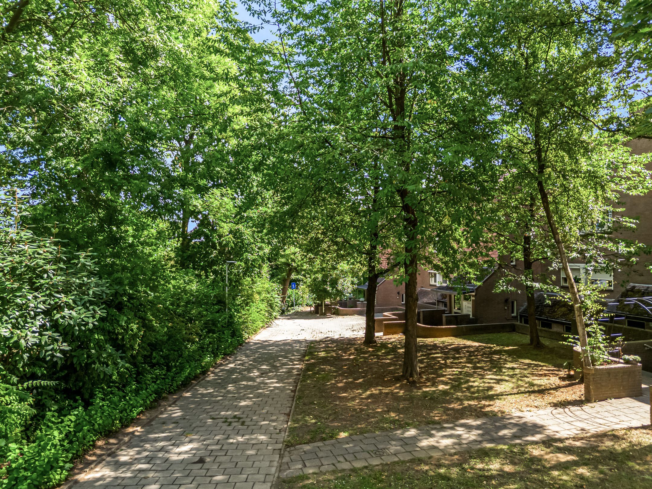 Foto 27 van Barbarapad 40