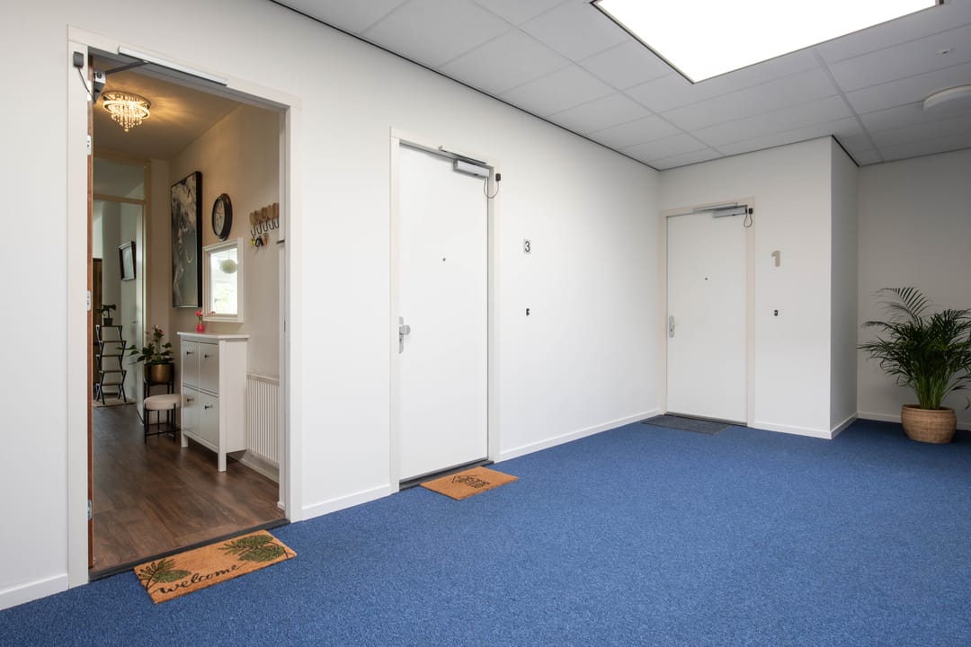 Foto 8 van Punterstraat 5