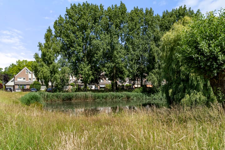 Foto 5 van Ereprijs 45