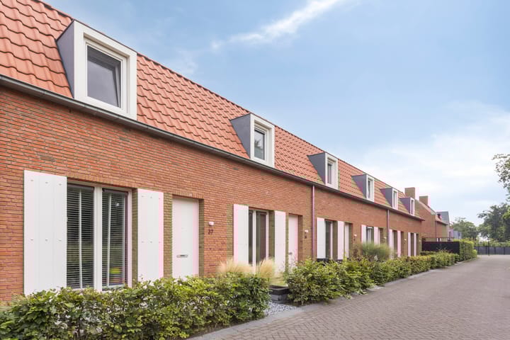 Govert Steenstraat 37