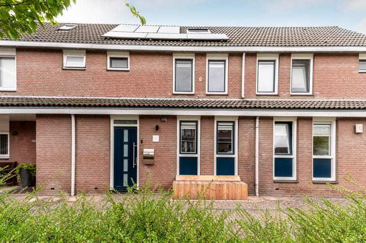 Foto 1 van Botter 42 20