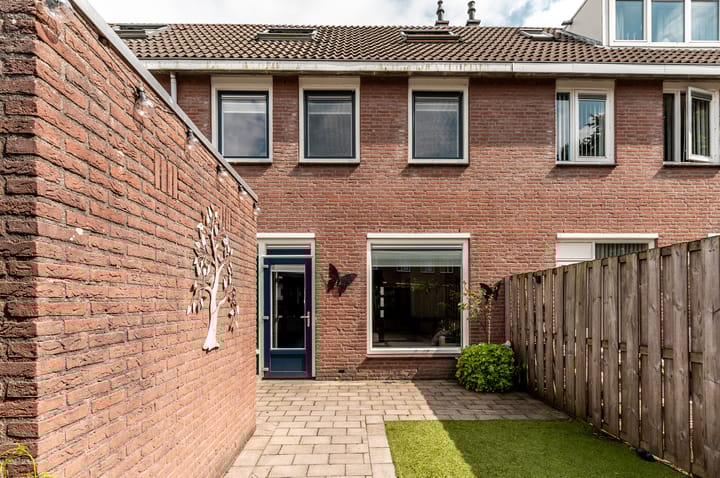 Foto 4 van Botter 42 20