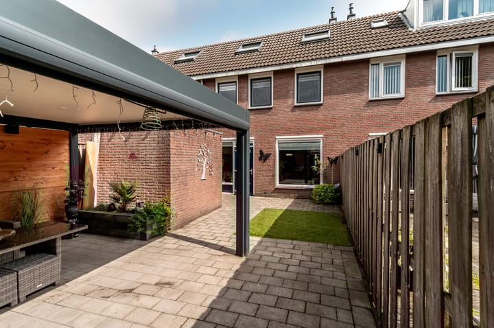 Foto 34 van Botter 42 20