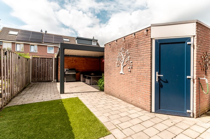 Foto 37 van Botter 42 20