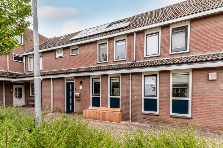 Foto 41 van Botter 42 20