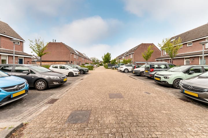 Foto 42 van Botter 42 20